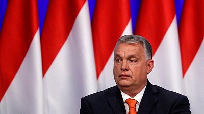 Polonia y Hungría son cada vez más autoritarias, según un grupo de derechos