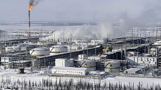 وكالة الطاقة: العالم لن يعاني من انخفاض الإمدادات الروسية