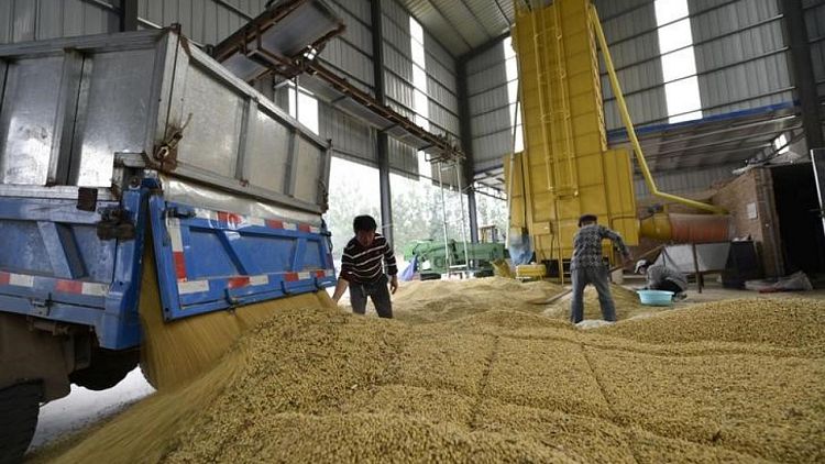 China reducirá el volumen de soja en la venta de la próxima semana de reservas estatales