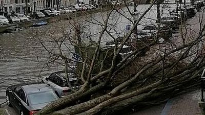 العاصفة يونيس تقتلع الأشجار وتقتل 3 في هولندا
