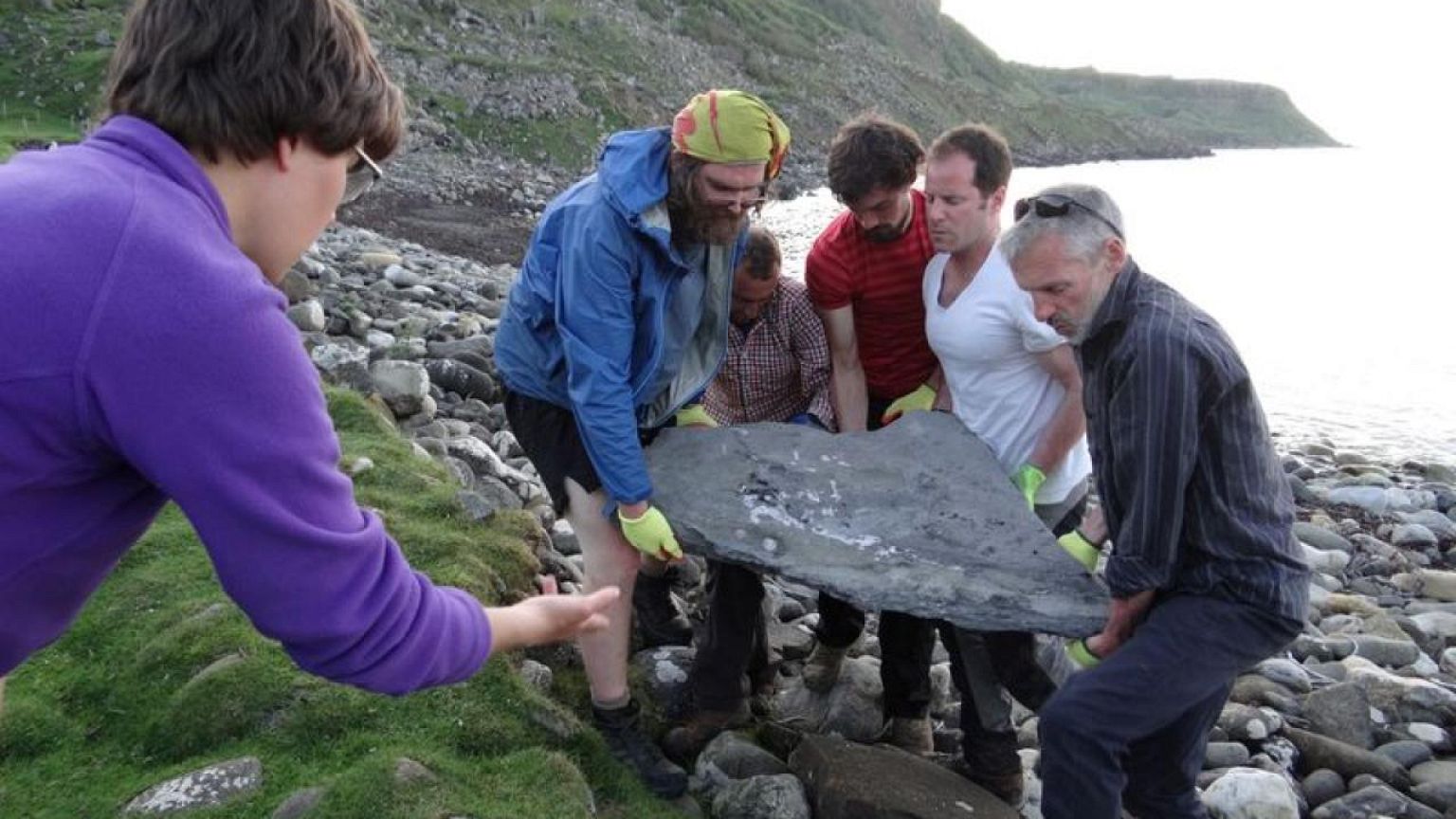 Scottish fossil of flying reptile leaves scientists 'gobsmacked'