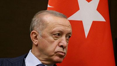 Erdogan says he will urge Putin to take steps on Donbas, Crimea with Zelenskiy
