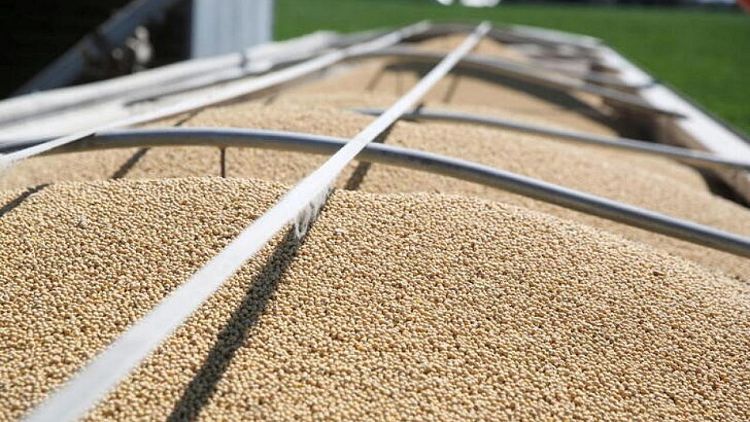 EEUU reduce perspectivas de oferta local de soja por mayor demanda para exportación
