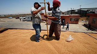 متحدث: العراق يملك مخزونا كافيا من القمح وقد يطرق السوق إذا طال أمد أزمة أوكرانيا