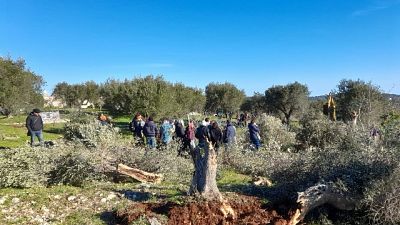 A Cisternino, necessario intervento delle forze dell'ordine A Cisternino, necessario intervento delle forze dell'ordine