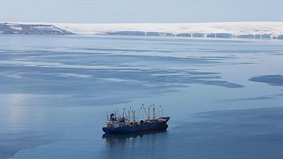 In Antarctica, does a burgeoning krill fishery threaten wildlife?