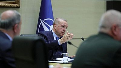 Turkey making efforts for immediate ceasefire, Erdogan tells Ukraine's Zelenskiy Turkey making efforts for immediate ceasefire, Erdogan tells Ukraine's Zelenskiy