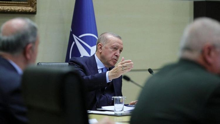 Turkey making efforts for immediate ceasefire, Erdogan tells Ukraine's Zelenskiy