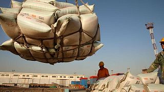 China venderá 500.000 toneladas de soja de sus reservas el 24 de junio