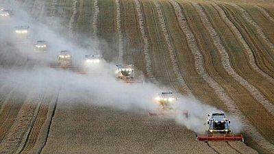 Situación de exportaciones de granos de Ucrania empeora día a día: ministro de Agricultura
