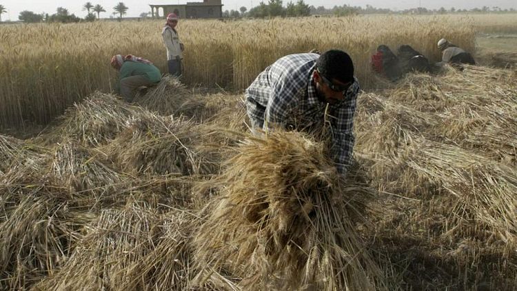 وكالة الأنباء العراقية: فتح استيراد المواد الغذائية كافة لمدة 3 أشهر