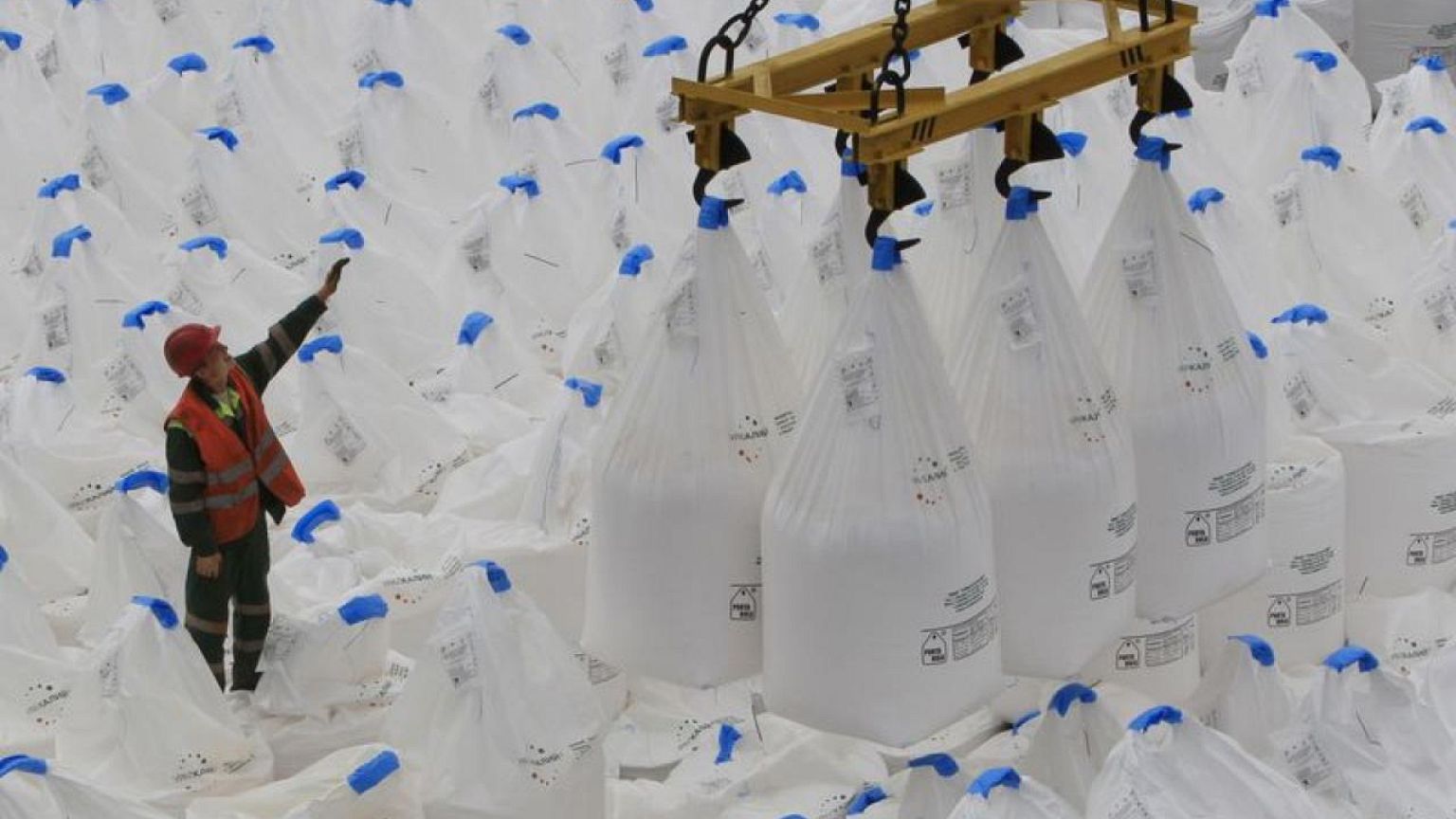 Putin dice que persisten los problemas con las exportaciones rusas de fertilizantes