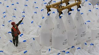 Ministerio de Comercio ruso recomienda a productores de fertilizantes que detengan exportaciones | Euronews