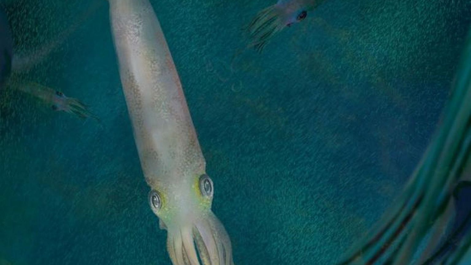Primordial octopus was up in arms - 10 instead of eight