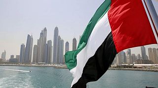 Emiratos Árabes Unidos es partidario de elevar la producción de petróleo, según embajador: medios