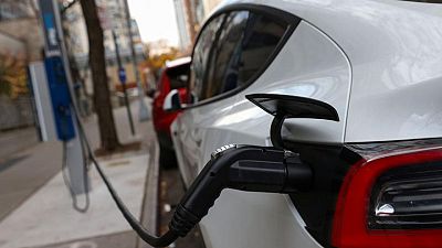 Electric-car makers should rethink raw material supply chains -RBC
