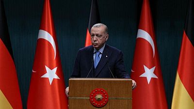 Turkey's Erdogan, Poland's Duda call for diplomatic efforts on Ukraine conflict