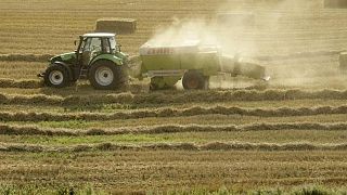 Strategie Grains eleva las perspectivas de exportación de trigo de la UE por conflicto en Ucrania