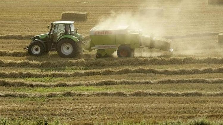 Strategie Grains eleva las perspectivas de exportación de trigo de la UE por conflicto en Ucrania