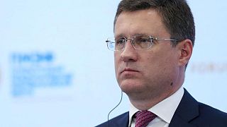 Russian energy supplies to remain stable - Ifax cites Novak