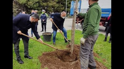Sindaco ha piantato simbolicamente il primo albero Sindaco ha piantato simbolicamente il primo albero
