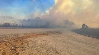 صحيفة: حرائق غابات بولاية تكساس الأمريكية تدمر 86 منزلا ومعظم بلدة صغيرة