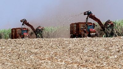 Brasil reduce a cero los aranceles a la importación de etanol hasta finales de 2022