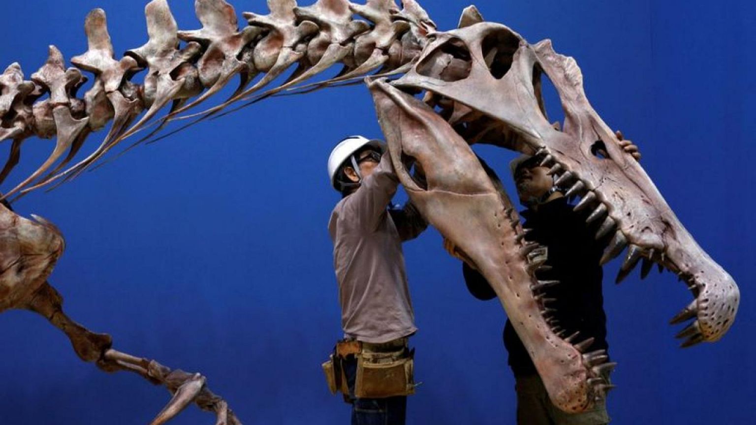 Bone density study confirms watery lifestyle of 'ominous' Spinosaurus