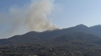 Sul posto Vigili del fuoco e Forestale, anche con elicotteri Sul posto Vigili del fuoco e Forestale, anche con elicotteri