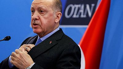 الرئاسة التركية: أردوغان وزيلينسكي بحثا الوضع الميداني في أوكرانيا