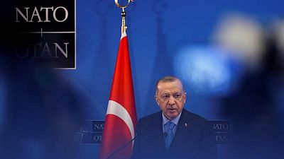 وسائل إعلام: أردوغان يصف دعوة زيلينسكي للاستفتاء بأنها "قيادة ذكية"