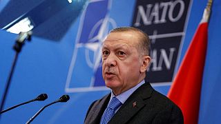 Erdogan says Istanbul talks gave impetus to Ukraine peace efforts