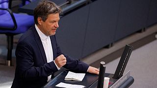 Alemania reduce su dependencia de la energía rusa - ministro