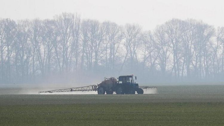 Siembra cultivos de primavera de Ucrania se ha completado en un 20%, dice Ministerio Agricultura