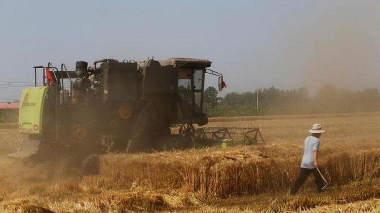 Agricultores chinos enfrentan escasez de fertilizantes, medidas por COVID dificultan entregas