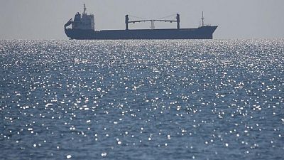 تقطع السبل بالسفن التجارية في أوكرانيا مع إبطاء الصراع جهود الإنقاذ الدولية