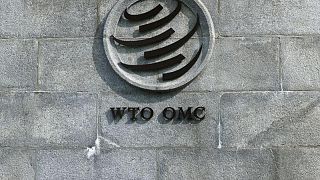 WTO slashes 2022 global trade growth forecast amid COVID, Ukraine 'double whammy'