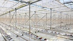 An empty glasshouse where produce is usually grown.