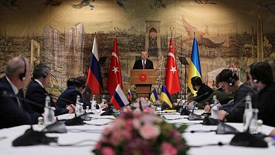 وكالة: تركيا هي المكان الأكثر ترجيحا للاجتماع بين رئيسي روسيا وأوكرانيا