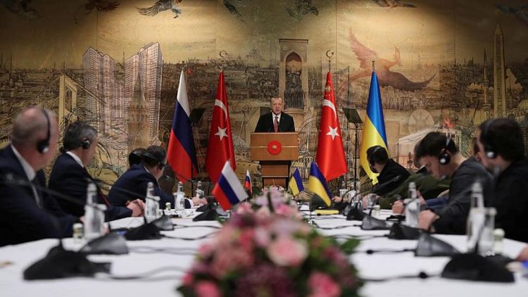 وكالة: تركيا هي المكان الأكثر ترجيحا للاجتماع بين رئيسي روسيا وأوكرانيا