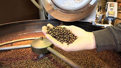 Global coffee market to record 3.1 million bag deficit in 2021/22 - ICO