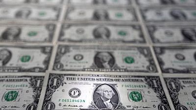 Dollar rises towards 2-year high after Fed policy maker's comments
