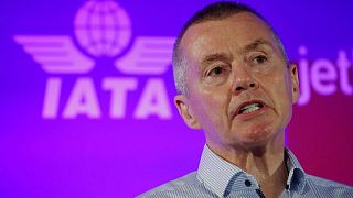 IATA boss says high fuel prices not likely to impact travel demand for now