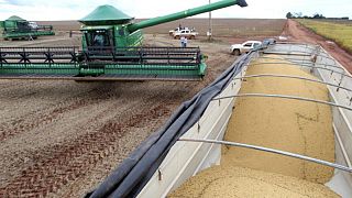 USDA recorta perspectiva de cosecha de soja de Brasil en 2021/2022, sube previsión de maíz