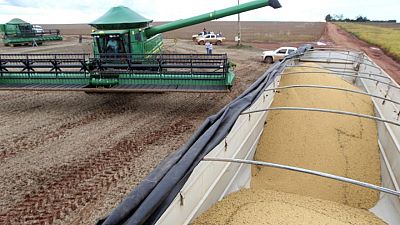 Anec reduce proyecciones de las exportaciones de soja y harina de Brasil en abril