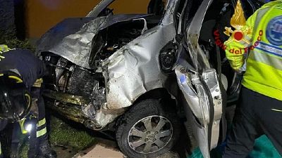 Morto anche il cane che viaggiava su una delle auto Morto anche il cane che viaggiava su una delle auto
