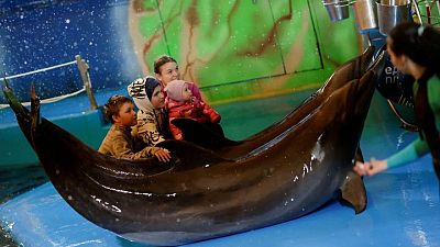 Dolphins bring joy to Ukrainian children fleeing war