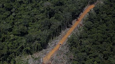 Brazil's largest indigenous reservation overrun by illegal gold mining, says report