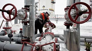 وكالة: وزارة الطاقة الروسية تعلق نشر بيانات إنتاج وصادرات النفط