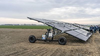 Obiettivo è integrare la produzione di energia e quella agricola Obiettivo è integrare la produzione di energia e quella agricola